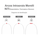 Arco Intraoral Estético Superelástico Grande Niti Redondo - Morelli