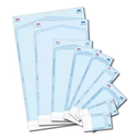 Pouch Esterilizar Autoclave Autosellable 13x26cm 200u Ristea