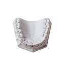 Yeso Ortodoncia Blanco x1kg