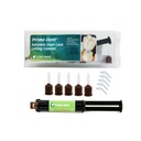 Cemento Dual Prime Dent Fotocurado 10G A2