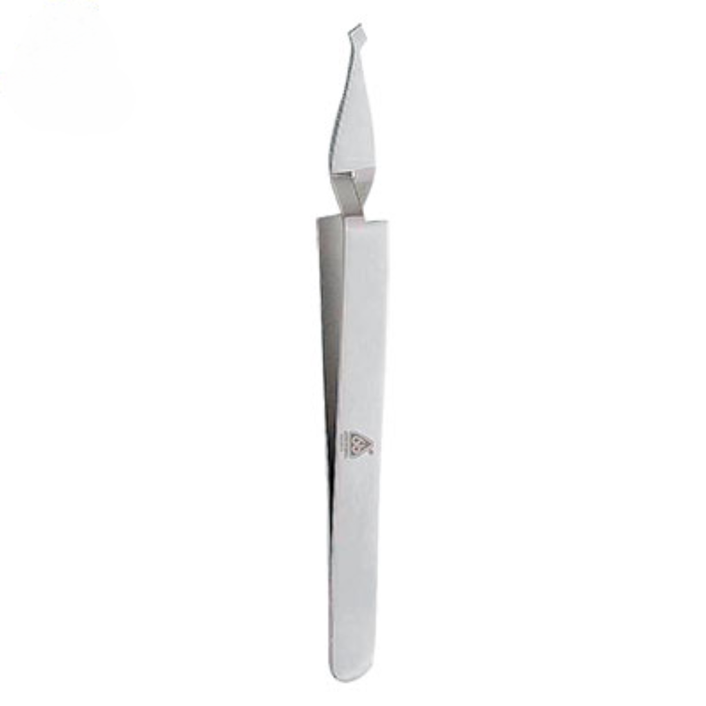 Pinza Porta Brackets Recta