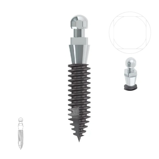 Mini implante Ball Odontit Evolution Ball + Cazoleta